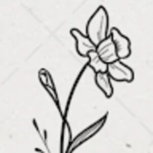 Meet your Posher, Abigail